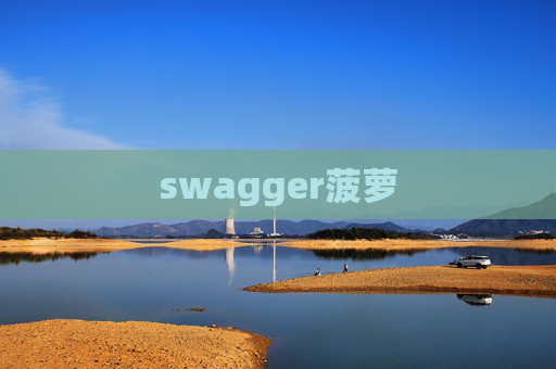 swagger菠萝
